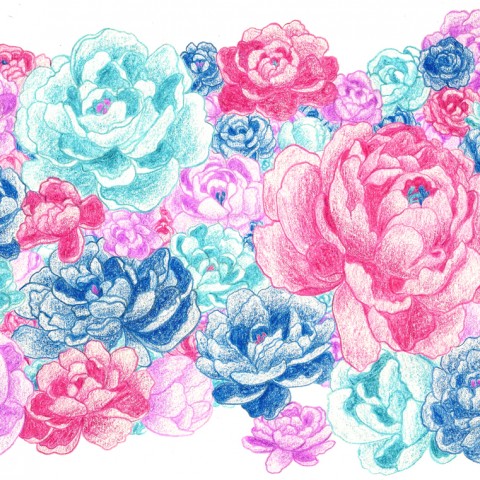 Illustration Pivoines